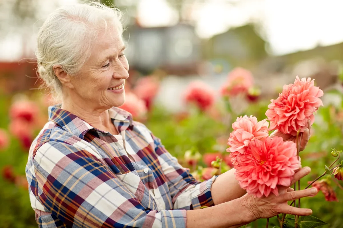 senior woman picking the flowers at the community garden