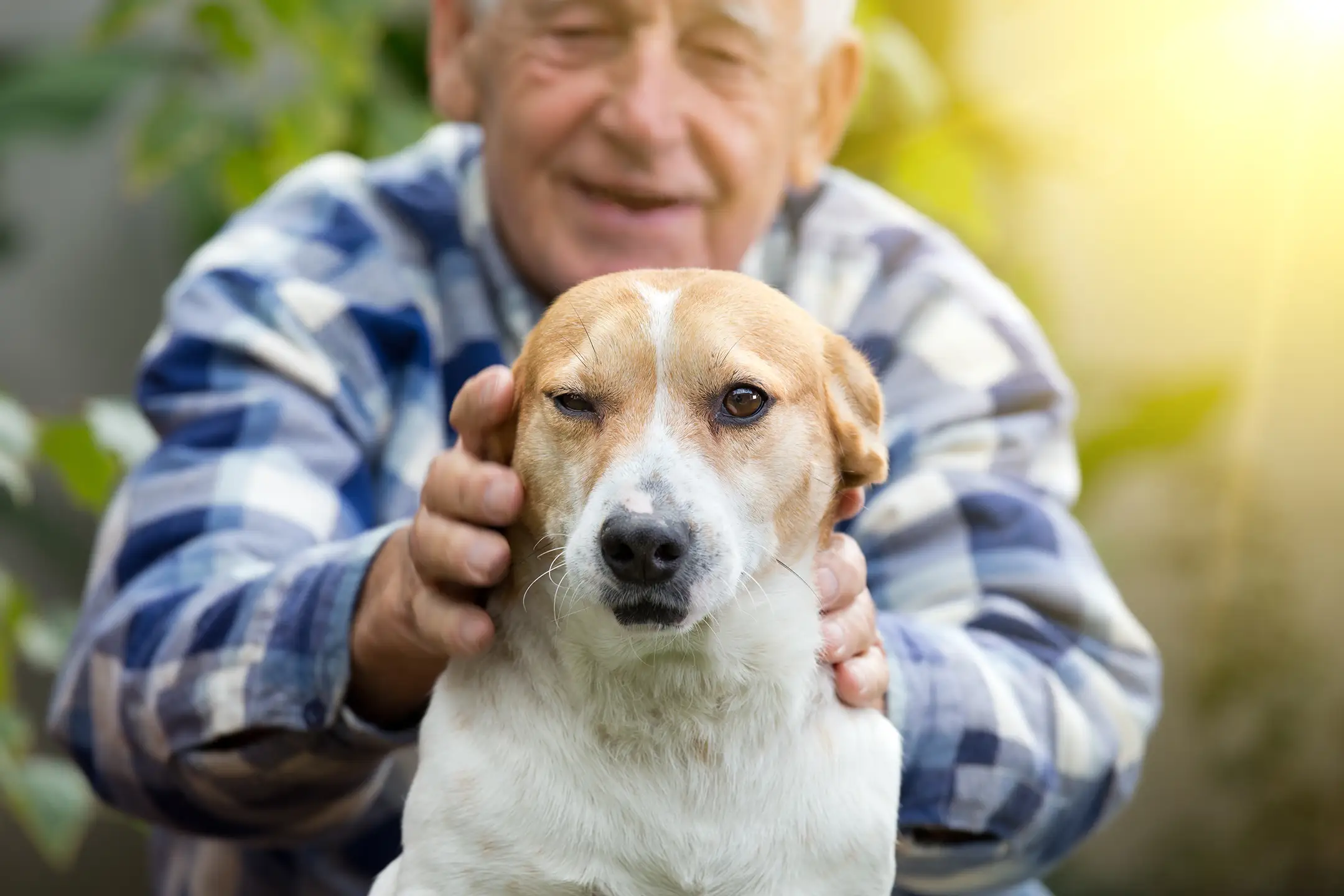 How Pets Enhance the Quality of Life for Seniors in Senior Living Communities